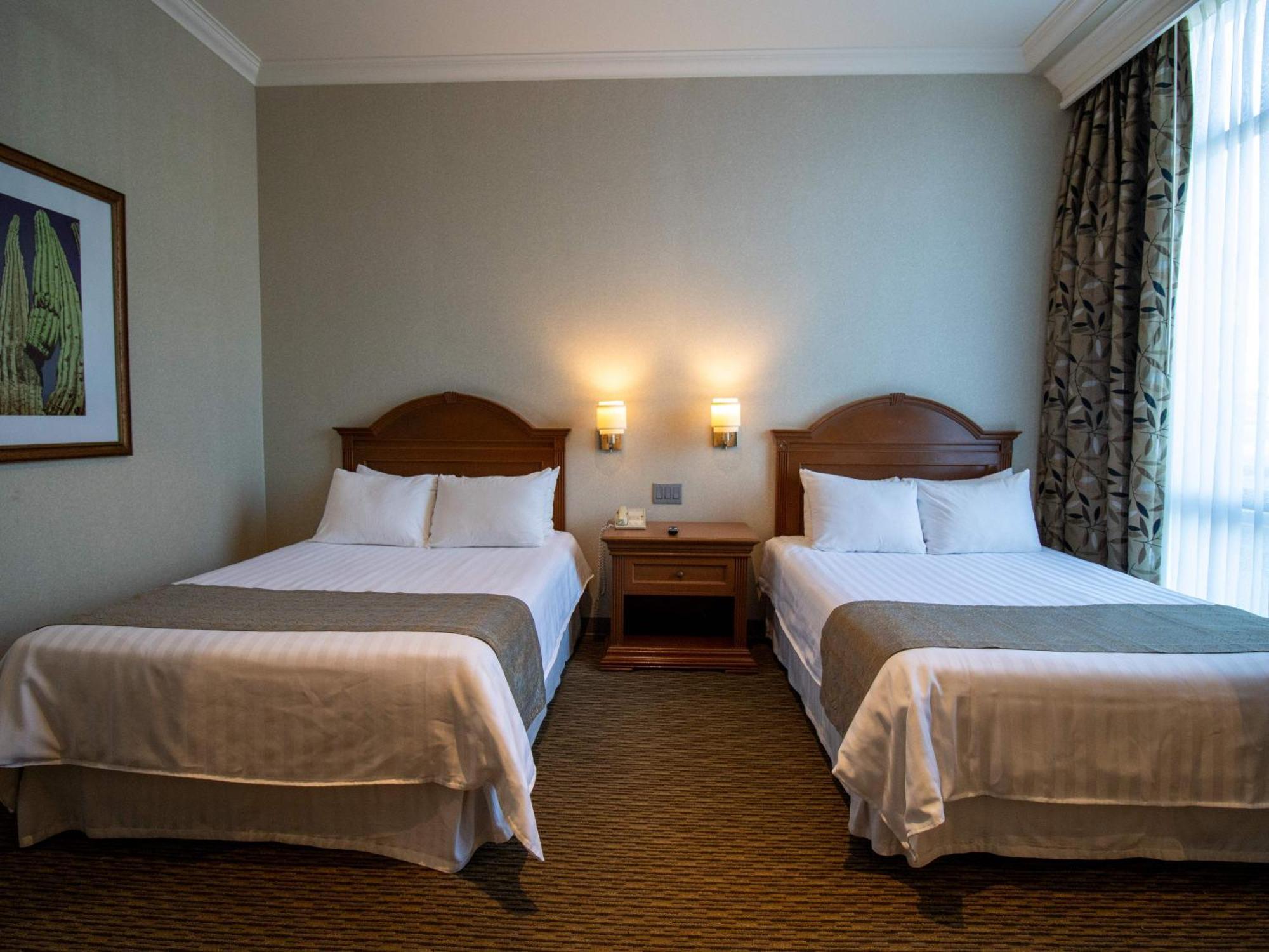 Hotel Araiza Μεξικάλι Δωμάτιο φωτογραφία A room at the hotel